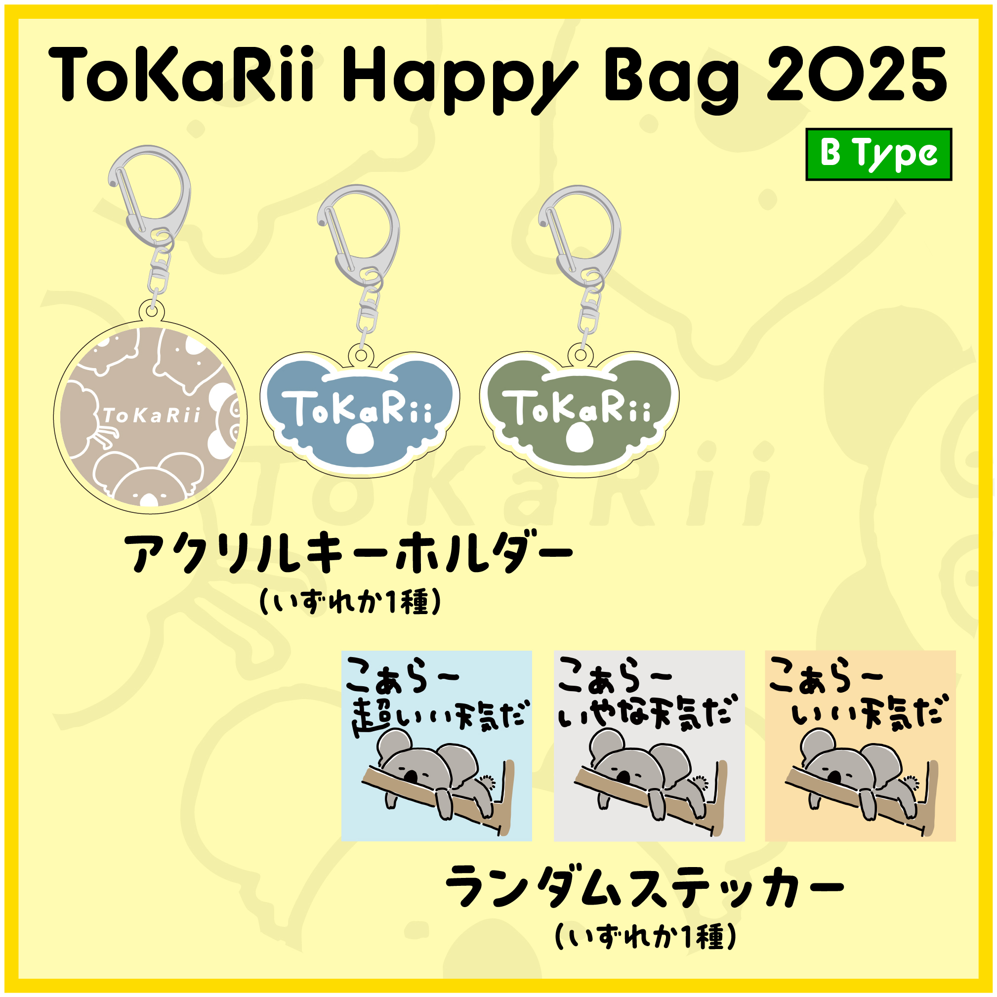 Happy Bag 2025 Type B 